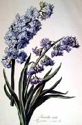 Cornelis van Spaendonck Prints Hyacinth painting